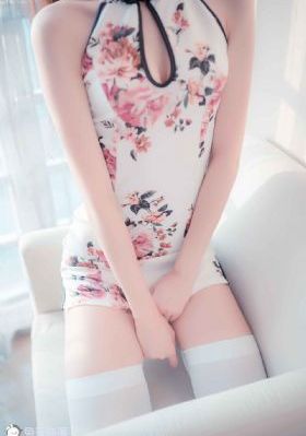 蝴蝶飞飞